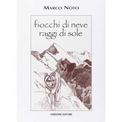 Fiocchi Di Neve Raggi Di Sole