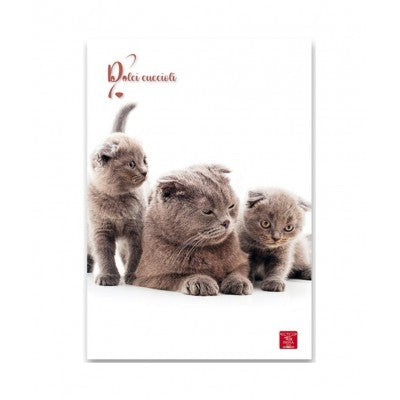 Diario Dolci Cuccioli Pigna Standard 12 Mesi – Non Datato