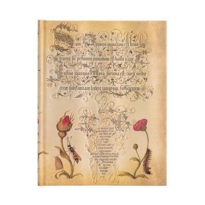 Taccuino Ultra Fogli Bianchi Paperblanks Rosa Fiamminga Mira Botanica 144 Pagine 120 Gr