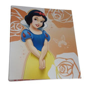Raccoglitore 4 Anelli A4 Disney Princess – Fantasie Assortite