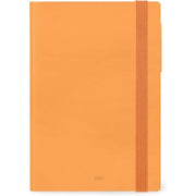 Legami - Agenda Giornaliera Grande, 12 Mesi Large, Gennaio 2025-dicembre 2025, Chiusura Con Elastico, 17 X 24 Cm, Apricot Crush