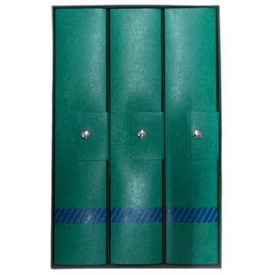 Set 3 Raccoglitori Flex Dorso 8 - Verde - 17913