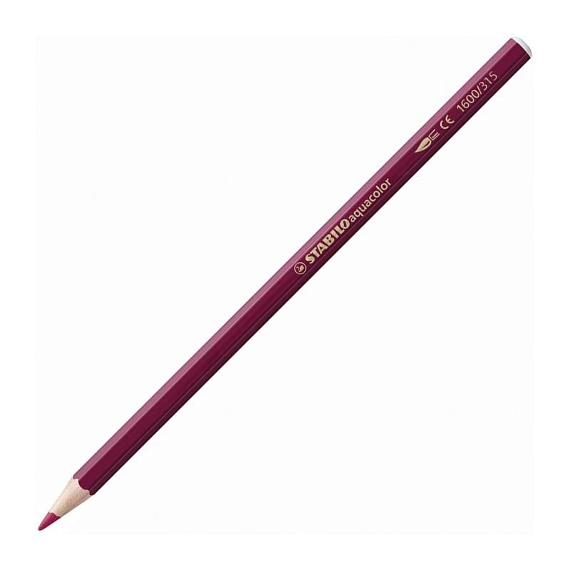 STABILO Aquacolor Arty – Astuccio da 12 Pastelli Acquerellabili