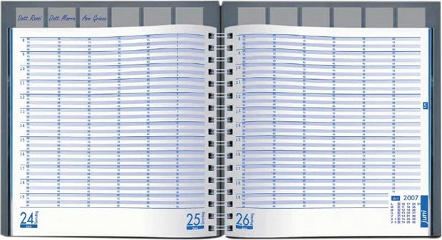 Buffetti Planner Giornaliero Non Datato 12 Mesi Multiappuntamenti – 24 x 22 cm – Spirale – Blu