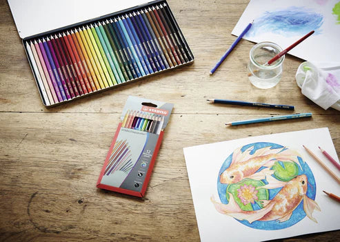 STABILO aquacolor – Matite Colorate Acquerellabili in Scatola di Cartone