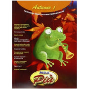 Autunno 1 - Libro + Cd