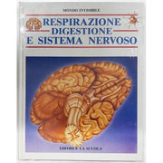 Respirazione Digestione E Sistema Nervoso
