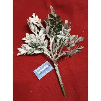 Renkalik - Ramo Di Bosso Innevato