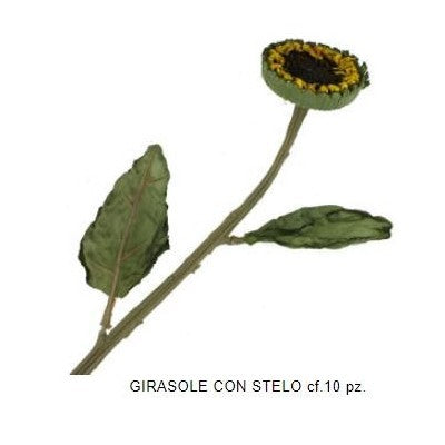 Renkalik - Botanica Primaverile Assortita