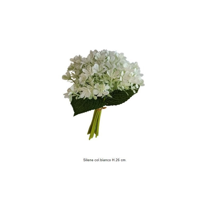 Renkalik - Botanica Primaverile Assortita