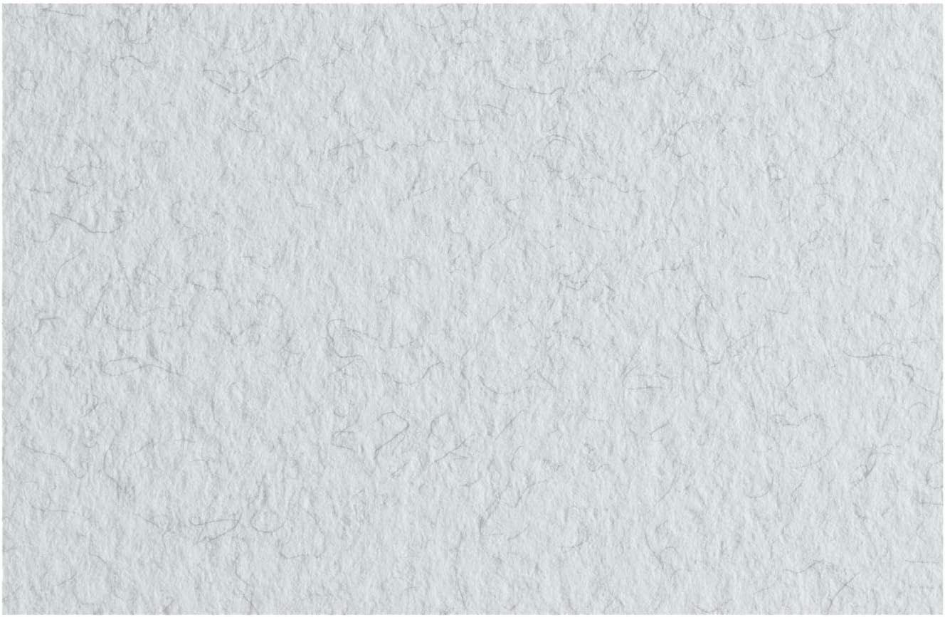 Fabriano Tiziano Risma 50ff Carta Pastello A4 - 21x29,7 cm - 160 g/m2