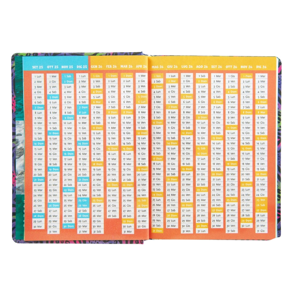 Diario Standard Giornaliero WWF Koala, Datato 2025-2026, 12 Mesi - Franco Cosimo Panini