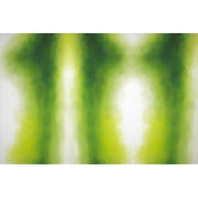 Fommy Deco' Soft Small Salviasg/verde Scuro 30x20 Cm