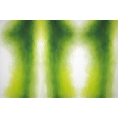 Fommy Deco' Soft Small Salviasg/verde Scuro 30x20 Cm