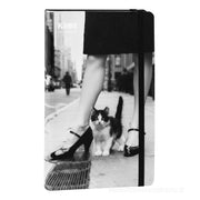 Agenda giornaliera 16 mesi 13x21 Gatto