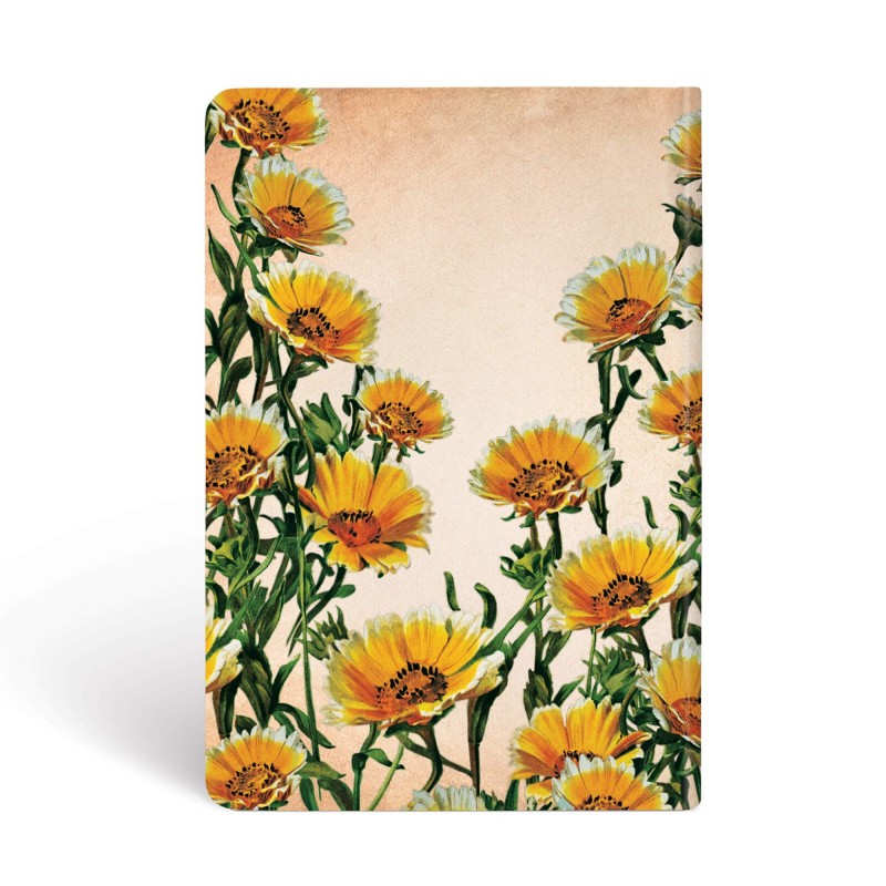 Quaderno A Righe Paperblanks – Fantasie E Dimensioni Assortite