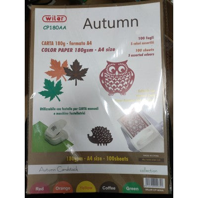 Carta Colorata Autumn Colori Assortiti