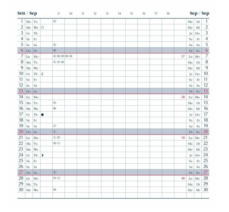 Agenda Tascabile Mensile 12 Mesi a Fisarmonica – Formato 7 x 13,6 cm