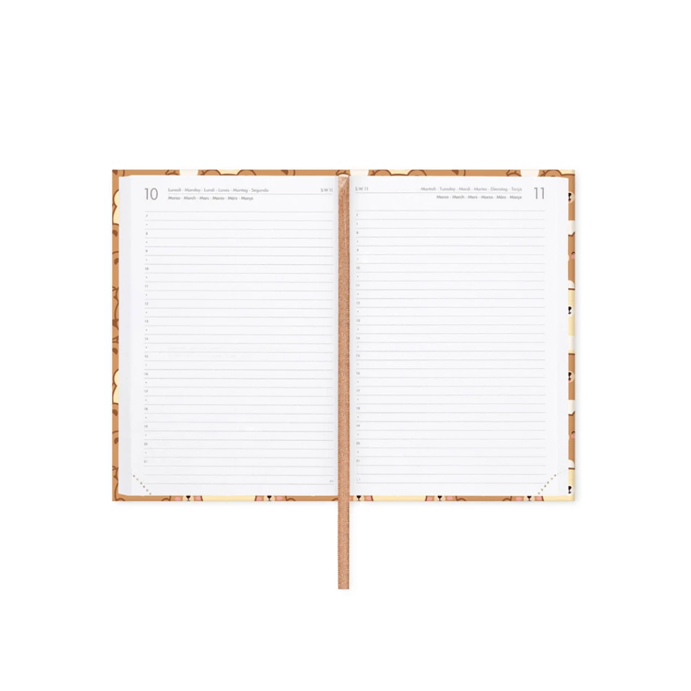 Agenda 16 Mesi Medium Photo Daily Diary Teddy Bear 2025-2026 | Legami