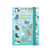 Agenda 12mesi Giornaliera Small Photo Daily Kitty 2026 | Legami