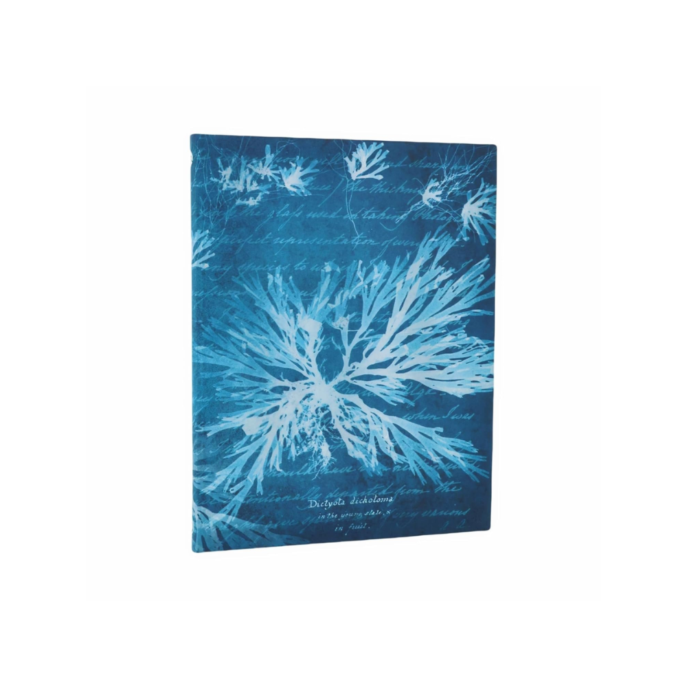Sea Flowers – Journal Ultra Unlined Softcover | Paperblanks x Treasures of The New York Public Library