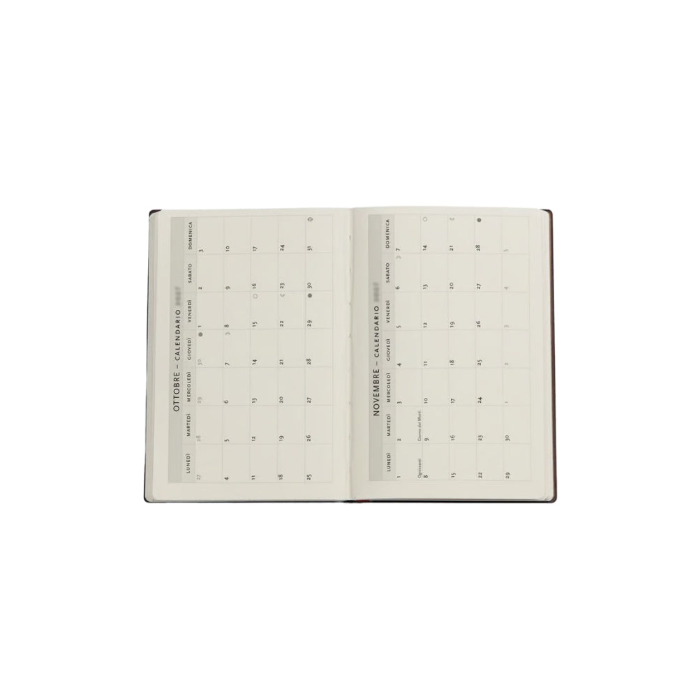 Agenda Paperblanks 2027 Fée du Liseron