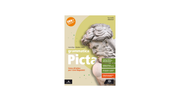 Grammatica picta. Per il Liceo linguistico. Con e-book. Con espansione online