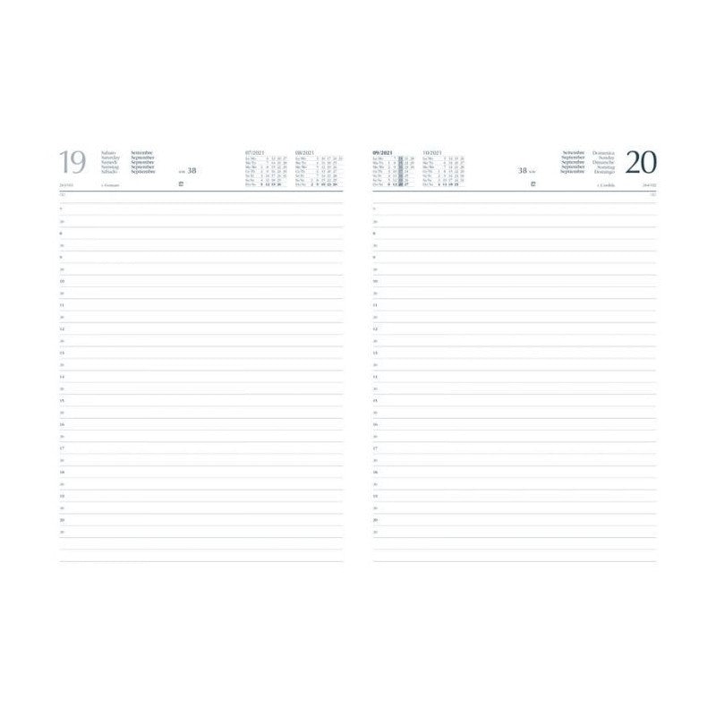 Agenda Giornaliera Buffetti 12 Mesi - 2023 - 21x29,7 Cm - Blu