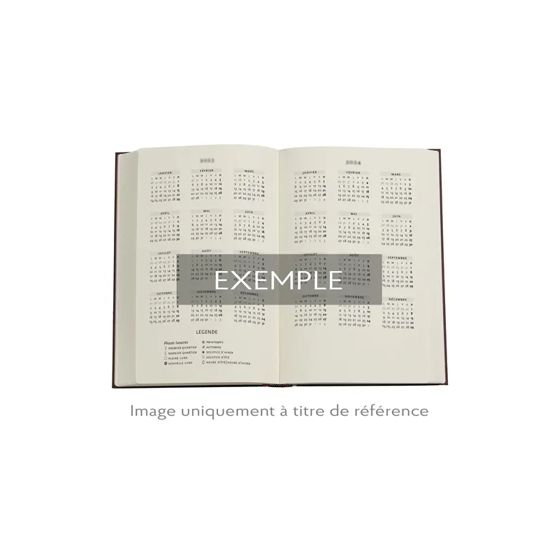 Agenda Mini Paperblanks 2025 Natsu Fiori Rinpa, 176 Pagine 100gr