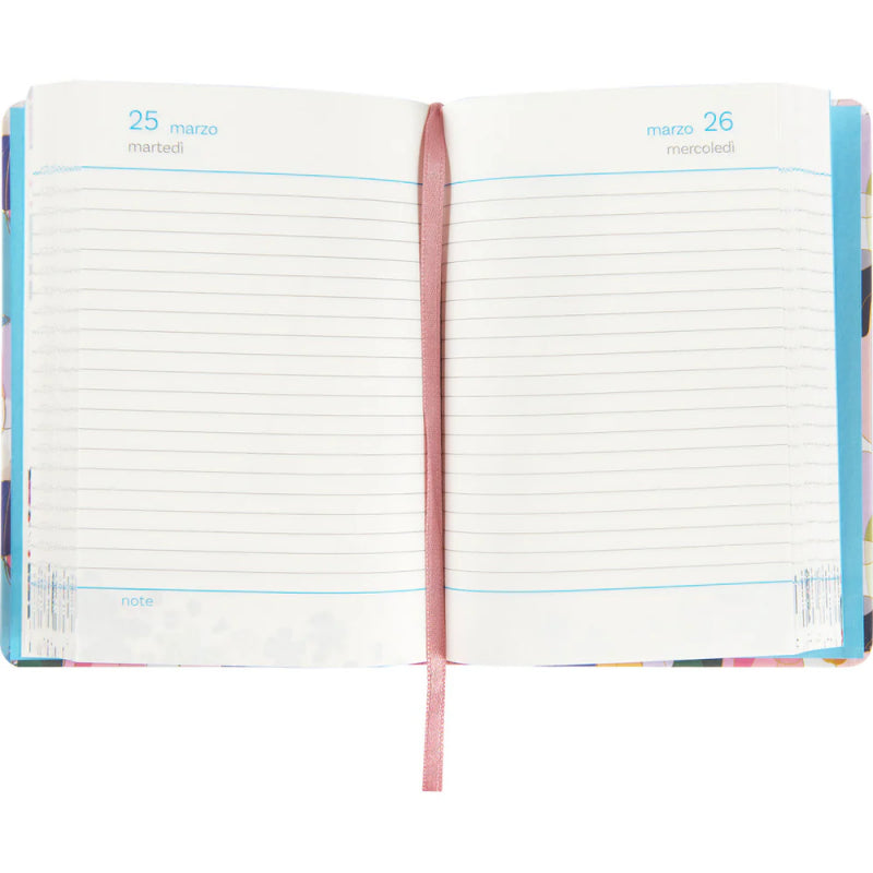 Agenda Mini Turnowsky 2024/25 13 Mesi Giornaliera Multicolore