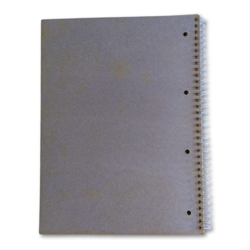 Block Notes Spiralato A4 Con 4 Fori, Fogli Colorati, Rigatura 4 Mm Su Un Solo Lato – Flex