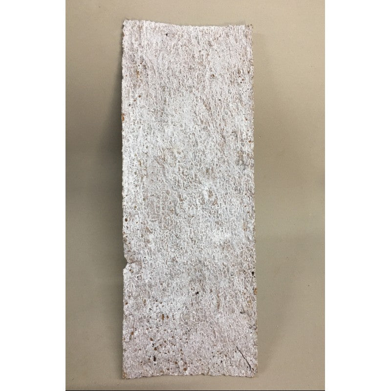 Corteccia In Legno Bianca