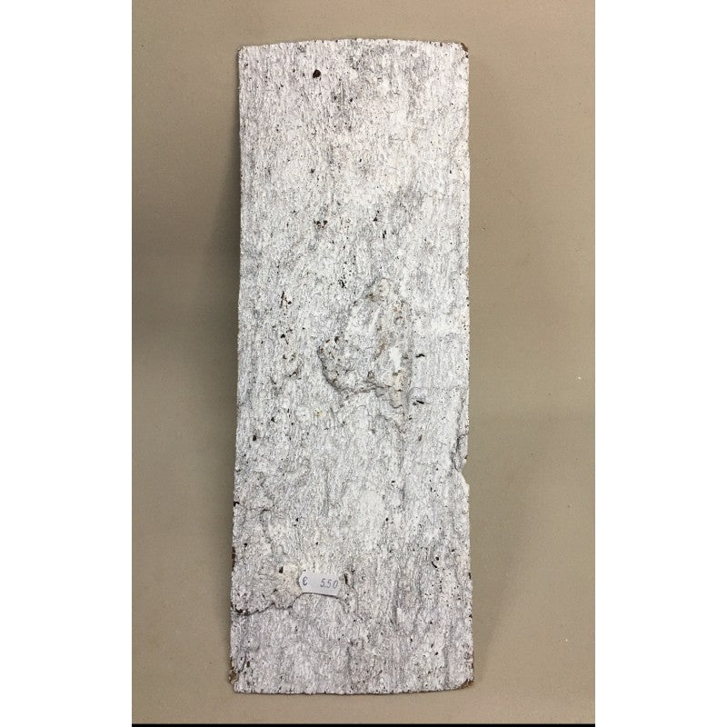 Corteccia In Legno Bianca