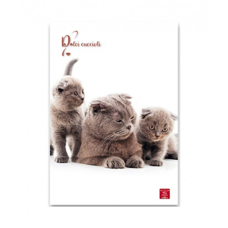 Diario Dolci Cuccioli Pigna Standard 12 Mesi – Non Datato