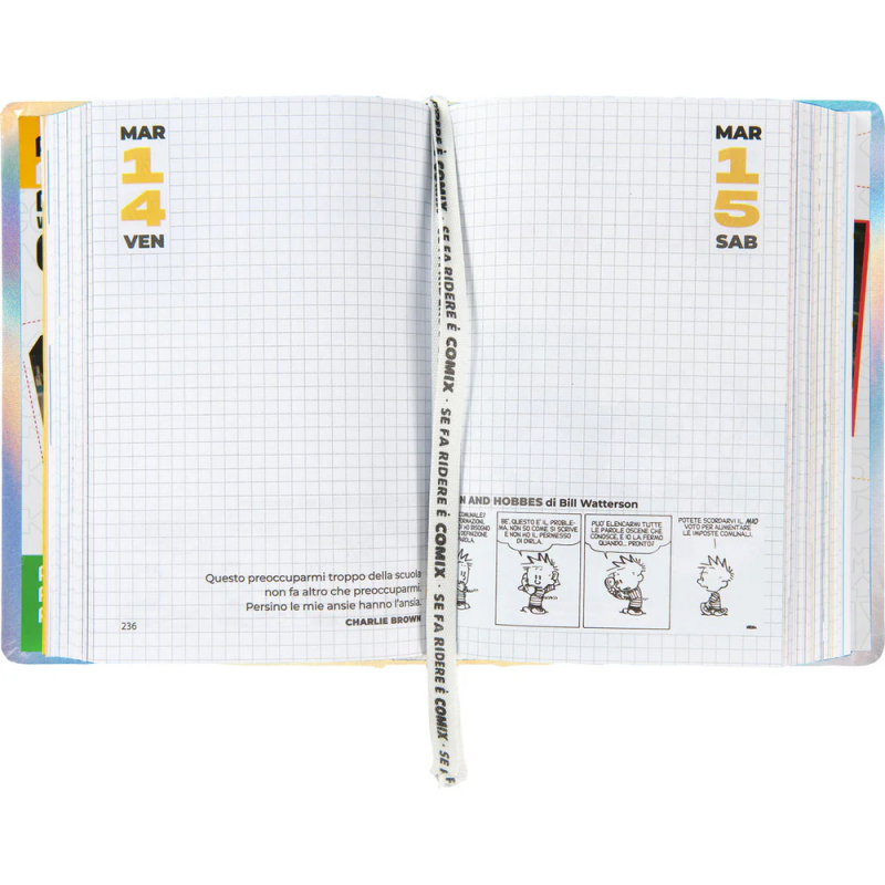 Diario Mini Comix 16 Mesi 2024/25 Giornaliero Holographic