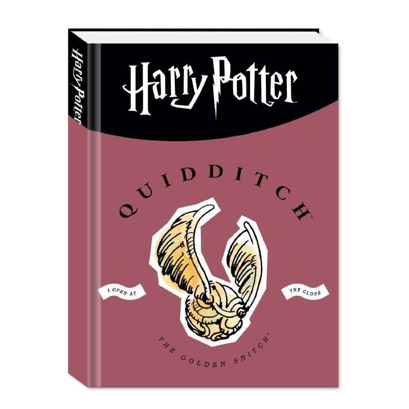 Diario Non Datato Scuola 10 Mesi Harry Potter