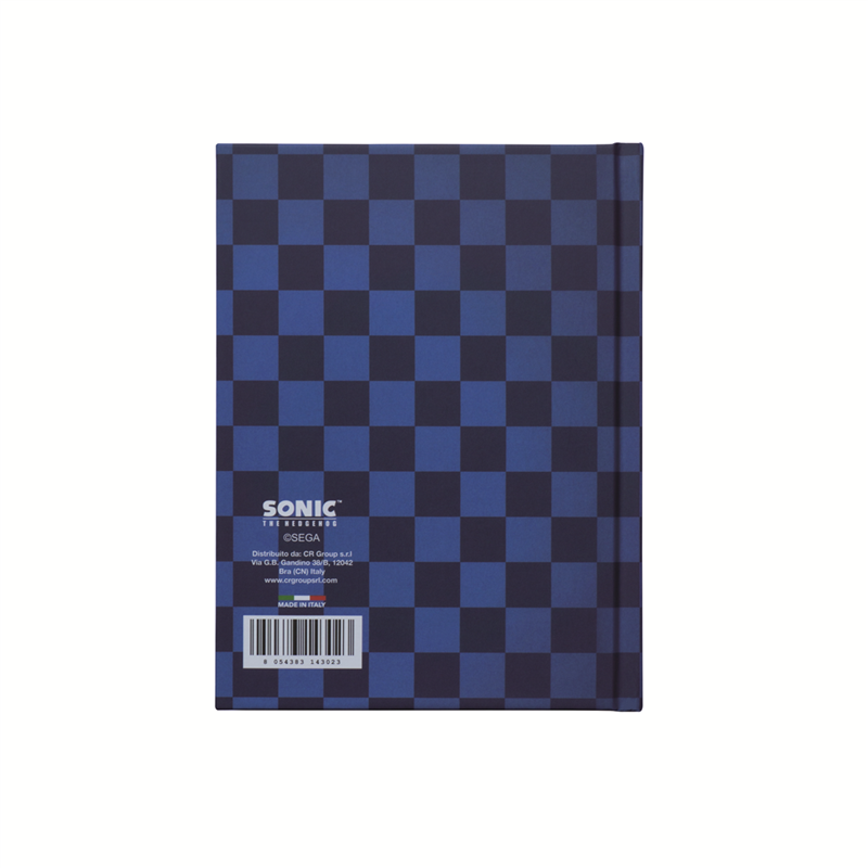 Diario Sonic E Friends Standard 10 Mesi - Non Datato