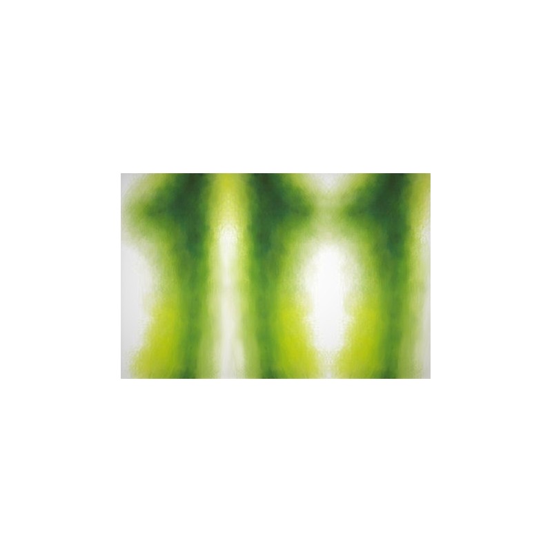 Fommy Deco' Soft Small Salviasg/verde Scuro 30x20 Cm