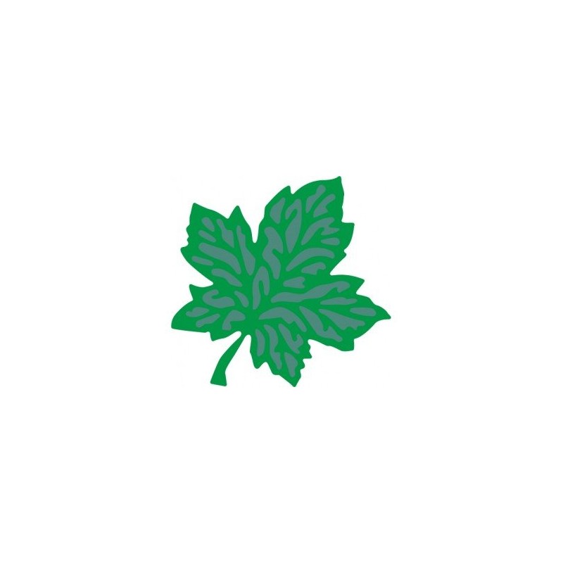 Fustella Sottile – Foglia Acero Pc1593