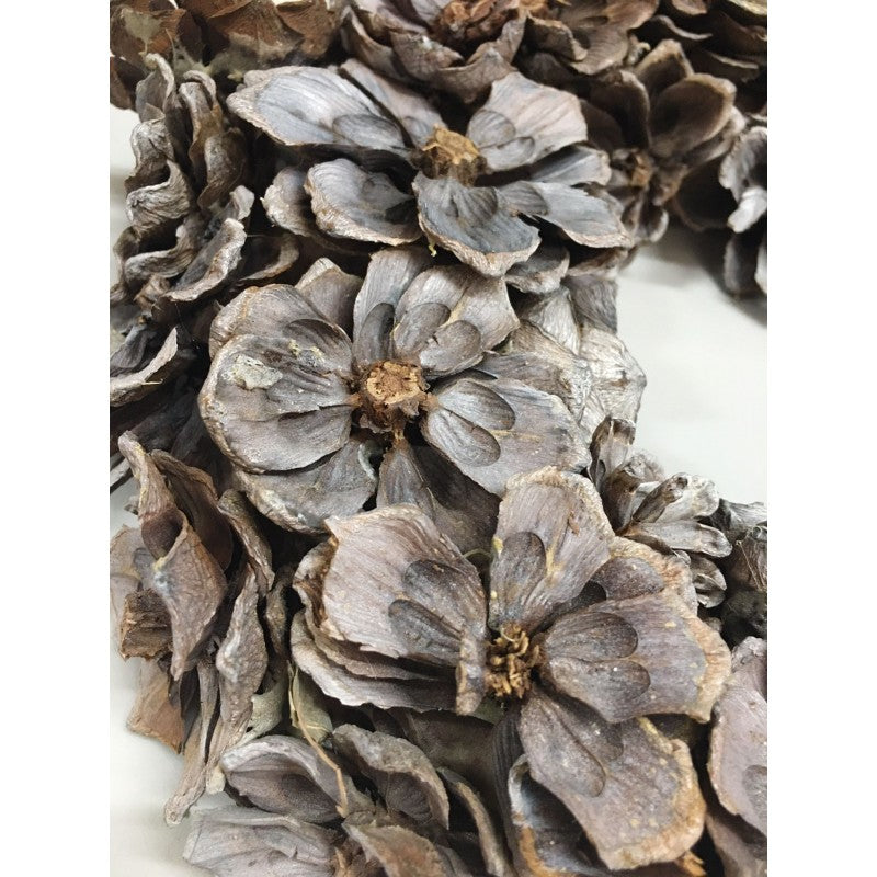 Ghirlanda Megnolia - Renkalik