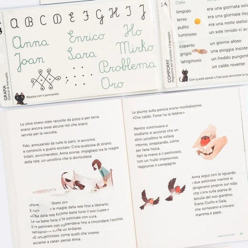 Italiano In Seconda Con Il Metodo Analogico