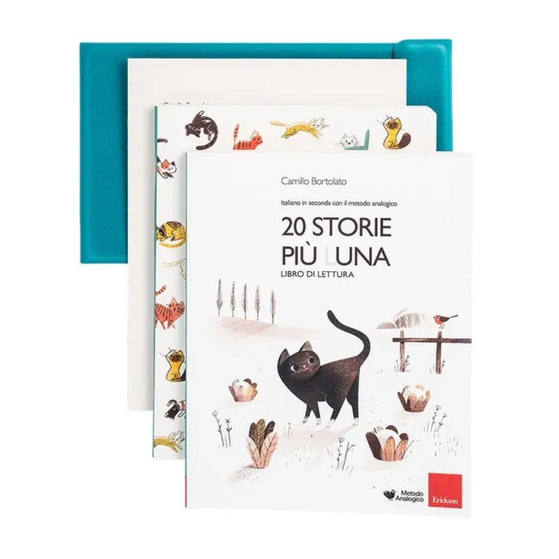 Italiano In Seconda Con Il Metodo Analogico