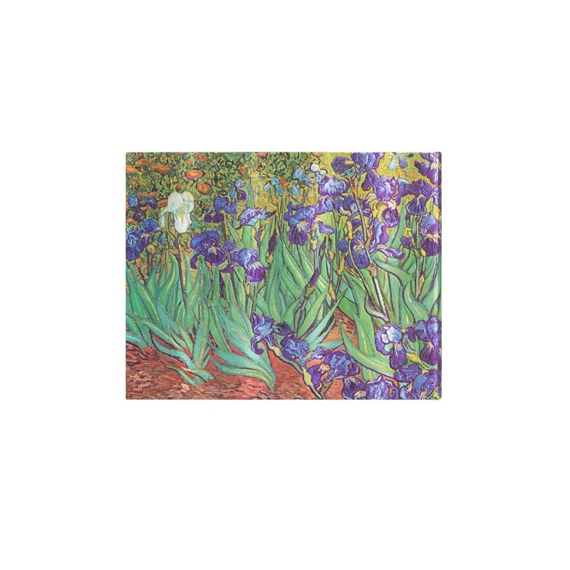 Libro Degli Ospiti "iris Di Van Gogh", Bianco, Paperblanks