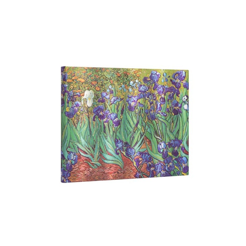 Libro Degli Ospiti "iris Di Van Gogh", Bianco, Paperblanks