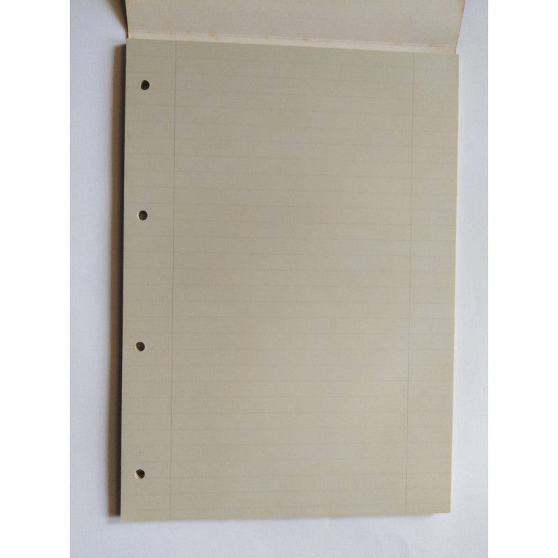 Prodotti Flex 1698b2pf - Block Notes A Righe Con 4 Fori