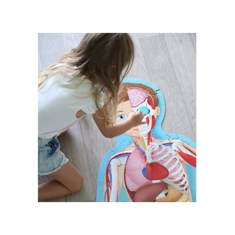 Puzzle Sagomato, Viaggia, Conosci, Esplora Il Corpo Umano