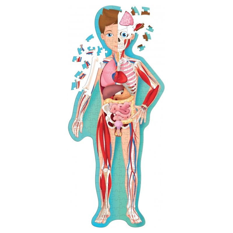 Puzzle Sagomato, Viaggia, Conosci, Esplora Il Corpo Umano