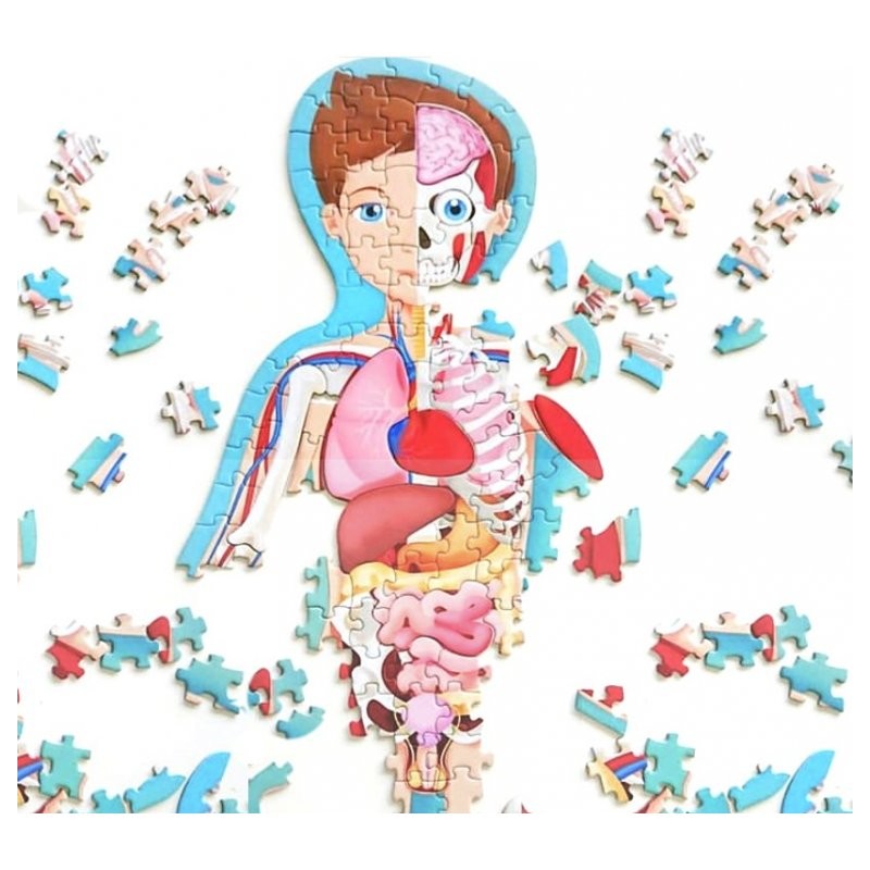 Puzzle Sagomato, Viaggia, Conosci, Esplora Il Corpo Umano