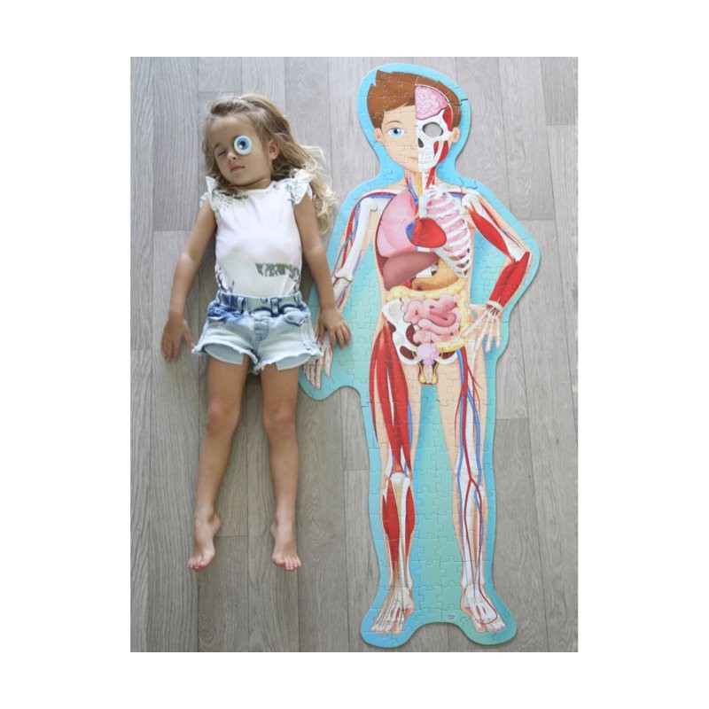 Puzzle Sagomato, Viaggia, Conosci, Esplora Il Corpo Umano
