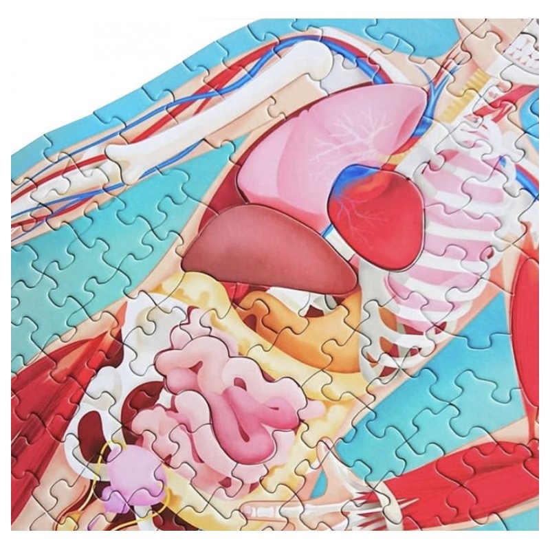 Puzzle Sagomato, Viaggia, Conosci, Esplora Il Corpo Umano